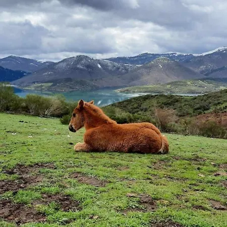 Lägenhet En Montanas De Carmen Vut-le-4950 Riaño